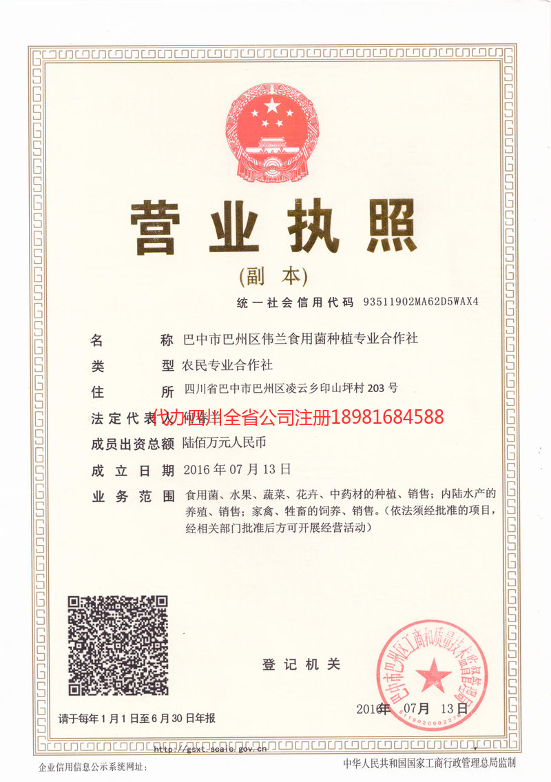 云阳云阳伟兰食用菌种植专业合作社